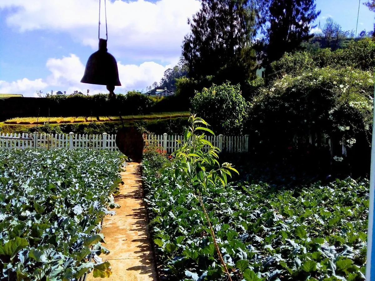 Vibe Way Hotel Nuwara Eliya